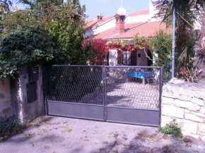 House Marko